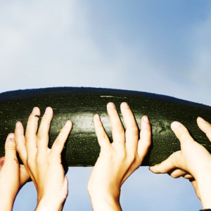 Gemeinsam sind wir stark.