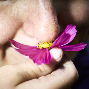 Düfte und einander riechen können.